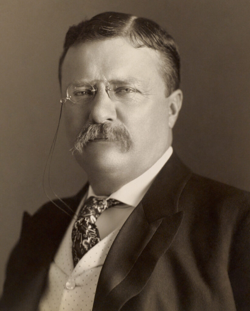 Theodore Roosevelt